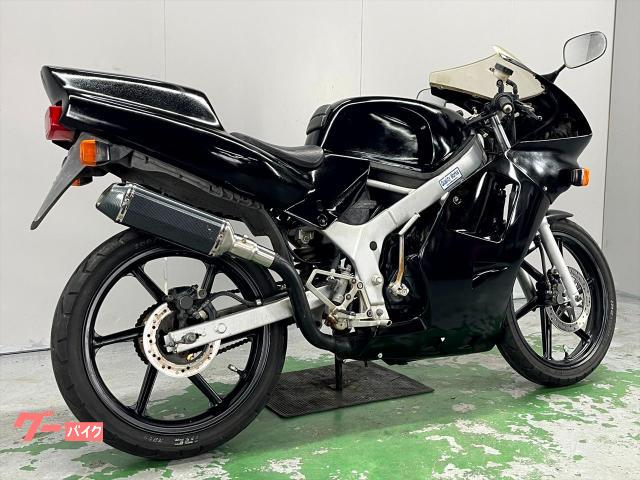 ホンダ NS－1 AC12 1996年モデル 社外チャンバー デュアル