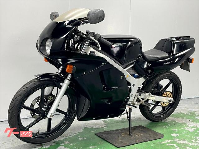 ホンダ NS－1 AC12 1996年モデル 社外チャンバー デュアル