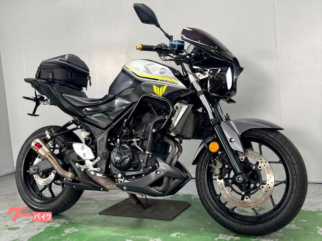 ＭＴ−０３（３２０ｃｃ）　ＲＨ０７　２０１７年モデル　ＥＴＣ　ビキニカウル　ＡＫＲＡＰＯＶＩＣサイレンサー　エンジンガード