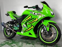 カワサキ　Ｎｉｎｊａ　２５０Ｒ　ＥＸ２５０Ｋ　２００９年モデル　ＢＥＥＴマフラー　バックステップ　ハンドル　フェンダーレス　シートカウル