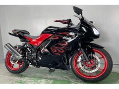 カワサキ　Ｎｉｎｊａ　２５０Ｒ　ＥＸ２５０Ｋ　２００９年モデル　フェンダーレス　ＬＥＤライト