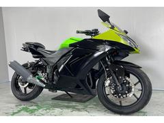 カワサキ　Ｎｉｎｊａ　２５０Ｒ　ＥＸ２５０Ｋ　２０１１年モデル　バックステップ　ＬＥＤライト　ハンドル　アッパーカウル　テールランプ