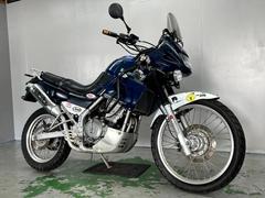カワサキ　ＫＬＥ２５０ＡＮＨＥＬＯ　ＬＥ２５０Ａ　１９９５年モデル　エンジンガード　フォグランプ　ＬＥＤライト　リアキャリア