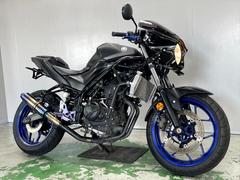 ヤマハ　ＹＺＦ−Ｒ２５　ＲＧ１０Ｊ　２０１６年モデル　ネイキッド仕様　ハンドル　ビキニカウル　マフラー　フェンダーレス　バックステップ