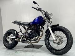 ヤマハ　ＴＷ２００Ｅ　ＤＧ０７Ｊ　２０００年モデル　ロンスイ　社外マフラー　スカチューン　カスタム多数