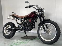 ヤマハ　ＴＷ２００　２ＪＬ　１９９６年モデル　ロンスイ　社外マフラー　スカチューン　カスタム多数