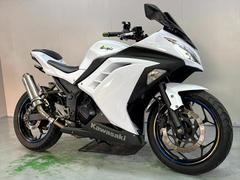 カワサキ　Ｎｉｎｊａ　２５０　ＥＸ２５０Ｌ　２０１７年モデル　社外マフラー　フェンダーレス　インジェクションモデル　低走行