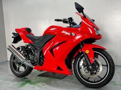 カワサキ　Ｎｉｎｊａ　２５０Ｒ　北米仕様　２００８年モデル　希少なキャブレター車両　低走行　通勤通学にも　経済的　低燃費