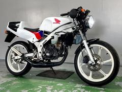 グーバイク】「ns1 カスタム」のバイク検索結果一覧(1～15件)