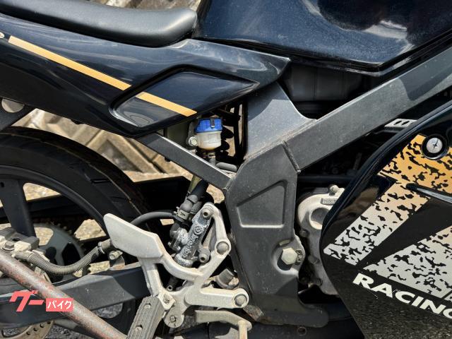ヤマハ TZR50R 2サイクル 社外チャンバー 新規自賠責保険2年付