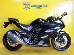 Ｎｉｎｊａ ２５０(カワサキ) 中古バイク一覧(6ページ目)｜新車・中古