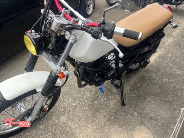 ヤマハ TW225E スカチューン カスタム｜バイクマニア 奥川輪業