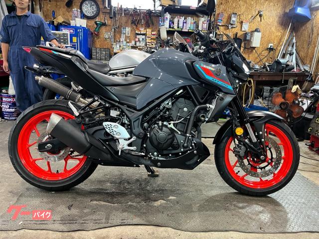ＭＴ−２５・２０２１年式・フロントスクリーン・ＥＴＣ２．０・ＵＳＢポート・エンジンスライダー・フェンダーレス