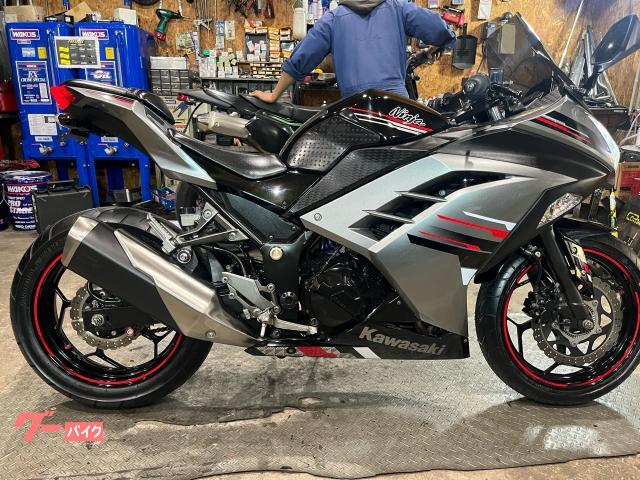 Ｎｉｎｊａ　２５０・タイヤ前後新品・ＬＥＤヘッドライト・スモークスクリーン・ＥＴＣ・ＵＳＢポート・フェンダーレス