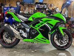 カワサキ　Ｎｉｎｊａ　２５０ＳｐｅｃｉａｌＥｄｉｔｉｏｎ