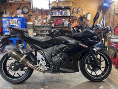 スズキ　ＧＳＸ２５０Ｒｗｒ’ｓマフラーＵＳＢポートステップセットバックプレート