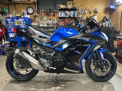 カワサキ　Ｎｉｎｊａ　２５０ＳＥ・ＬＥＤヘッドライトフェンダーレス・スモークスクリーン