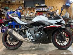 スズキ　ＧＳＸ２５０Ｒ・ＬＥＤヘッドライト・エンジンスライダー・ビレットレバー