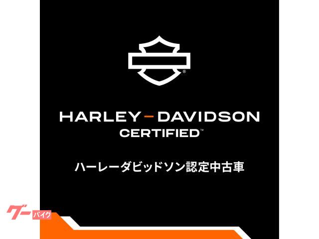 HARLEY-DAVIDSON RH975S ETC 2024 — миниатюра 2