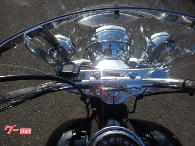 ＨＡＲＬＥＹ－ＤＡＶＩＤＳＯＮ ＦＬＨＣ　ソフテイルヘリテイジクラシックの画像（宮崎県