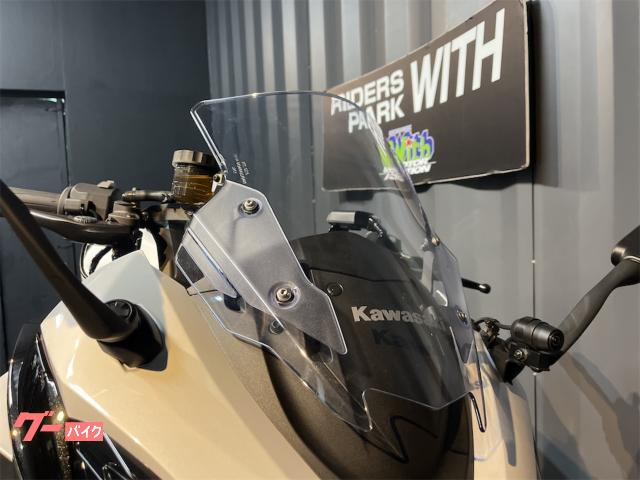 Kawasaki Ninja 1100 SX ETC2.0 — миниатюра 3