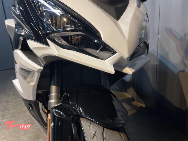Kawasaki Ninja 1100 SX ETC2.0 — миниатюра 6