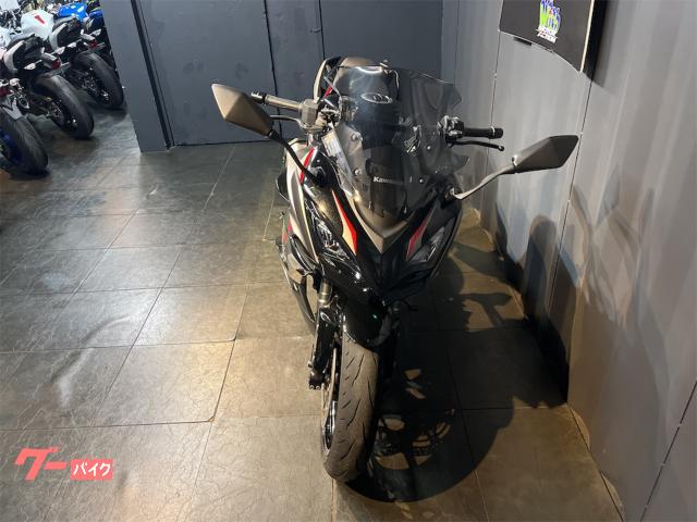 Kawasaki Ninja 1000 SX ETC — миниатюра 2