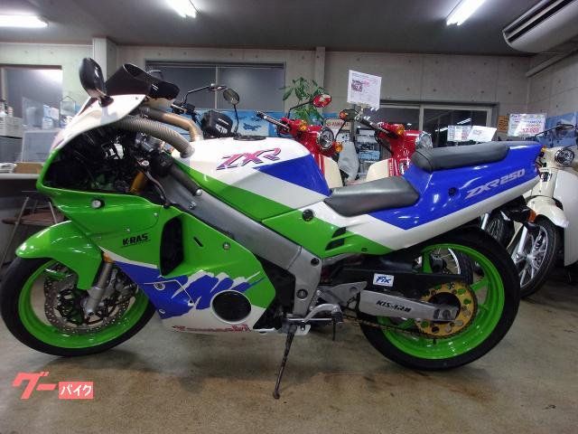カワサキ ZXR250 スリップオンマフラ－ スクリ－ン Fブレ