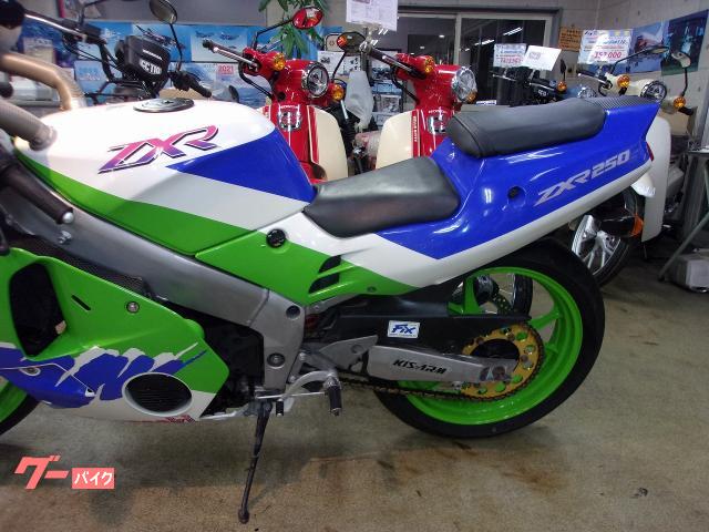 カワサキ ZXR250 スリップオンマフラ－ スクリ－ン Fブレ