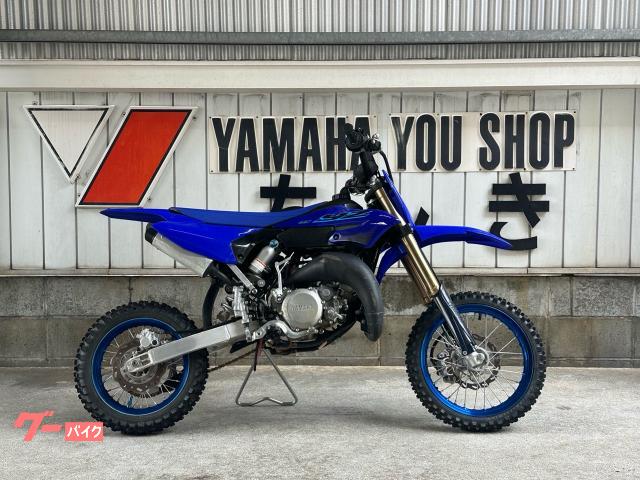 ＹＺ６５