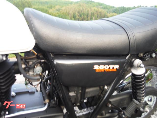 カワサキ 250TR 2002モデル キャブ 前後フェンダー