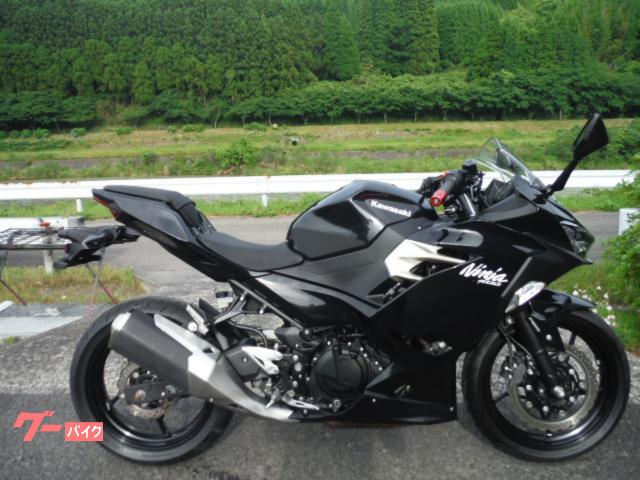 Ｎｉｎｊａ　４００　ＡＢＳ　ＥＴＣ２．０　シュガライタ電源　バーエンド