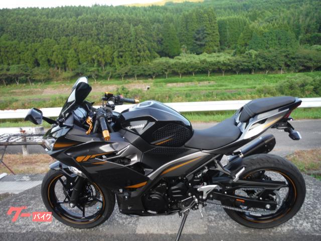 カワサキ Ninja 400 2019モデル マフラー レバー