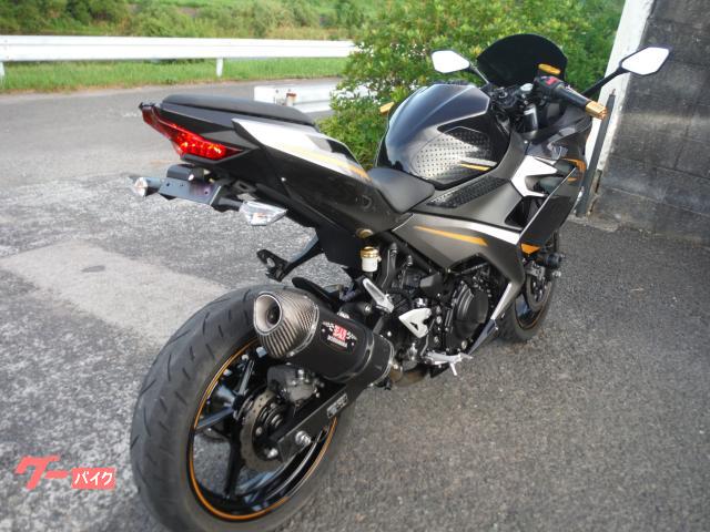 カワサキ Ninja 400 2019モデル マフラー レバー