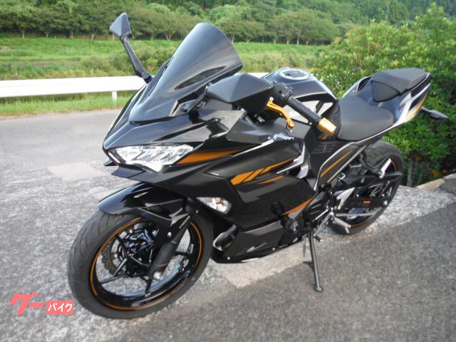 カワサキ Ninja 400 2019モデル マフラー レバー