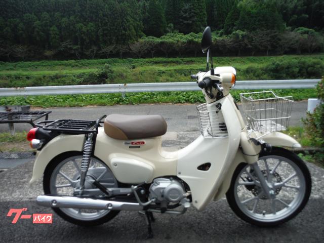 スーパーカブ１１０　ＡＢＳ　シフトインジゲーター　キャストホイール　フォグランプ　ＵＳＢ電源　リヤサス　カゴ　ワンオーナー