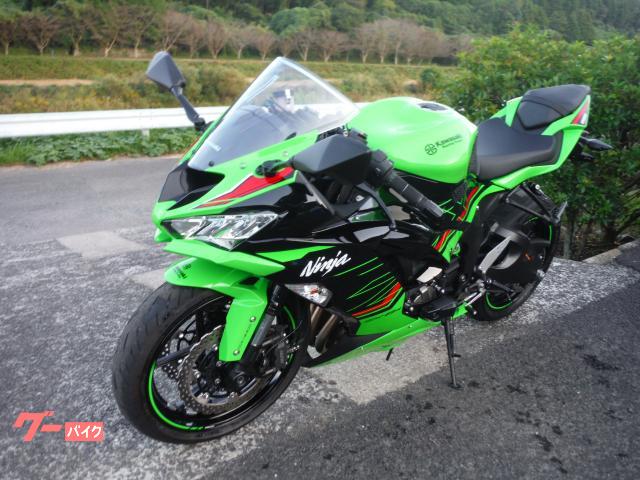 緑ジョラゴン GR付き 即日発送 レート高め 緑ジョラゴン GR付き 即日発送 レート高め 楽天市場】【数量限定