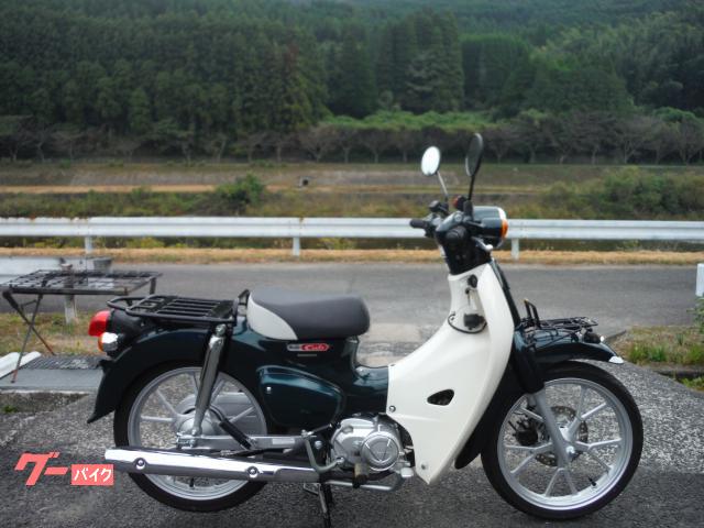 スーパーカブ１１０　２０２２モデル　ＡＢＳ　キャスト　ＬＥＤフォグ　グリップヒーター　ＵＳＢ電源