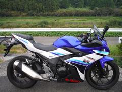 スズキ　ＧＳＸ２５０　２０１７モデル　スクリーン