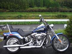 ＨＡＲＬＥＹ−ＤＡＶＩＤＳＯＮ　ＦＸＳＴＣ　ソフテイルカスタム　２００８モデル　北米マフラー　グリップヒーター