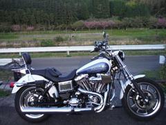ＨＡＲＬＥＹ−ＤＡＶＩＤＳＯＮ　ＦＸＤＬ　ローライダー　２０１５モデル　ＥＴＣ　　エアクリーナー　デタッチャブルキャリヤ
