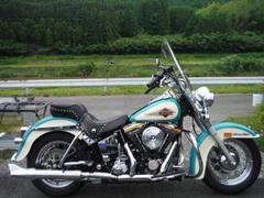 ＨＡＲＬＥＹ−ＤＡＶＩＤＳＯＮ　ＦＬＳＴＣ　ヘリテイジソフテイルクラシック　１９９１モデル　ＥＶＯ　マフラー
