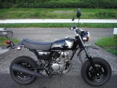 ホンダ　Ａｐｅ　２００９モデル　最終モデル　フューエルインジェクション　ノーマルコンデション