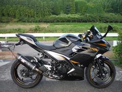 カワサキ　Ｎｉｎｊａ　４００　２０１９モデル　マフラー　レバー　フェンダーレス　スライダー　スクリーン