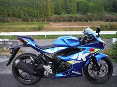 スズキ　ＧＳＸ−Ｒ１２５　２０１９モデル　ＡＢＳ　ＸＡＬ９　ローダウンリンク