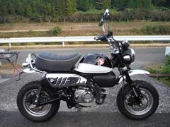 ホンダ　モンキー１２５　２０１９モデル　４速　マフラー　フェンダーレス　タンデムグリップ