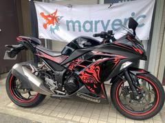 カワサキ　Ｎｉｎｊａ　２５０