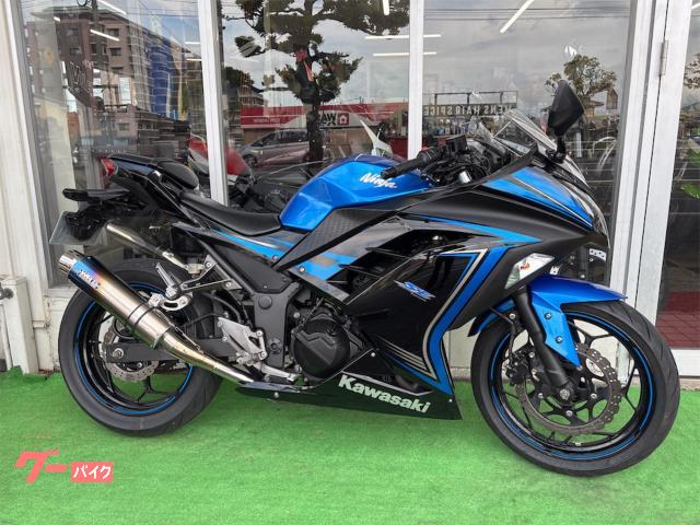 Ｎｉｎｊａ　２５０　ＵＳＢ電源　ヘッドライトＬＥＤ　マルチバー　ＷＲｓサイレンサー　フロントフォークＯ／Ｈ