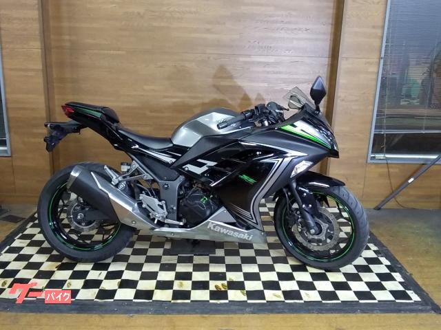 Ｎｉｎｊａ　２５０