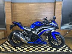 カワサキ　Ｎｉｎｊａ　２５０　ＡＢＳ　２０１６年モデル　社外レバー